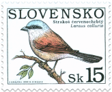 Nature Conservation - Singing birds - Lanius collurio