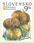 Nature Protection - Mushrooms (Boletus aereus)
