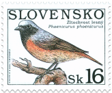 Nature Conservation - Singing birds - Phoenicurus phoenicurus