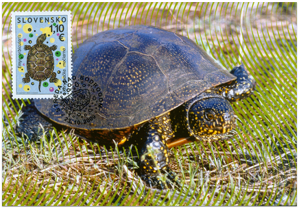 Nature Protection - European pond terrapin