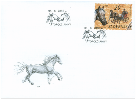 Ochrana prírody - Kone - Lipicanský kôň