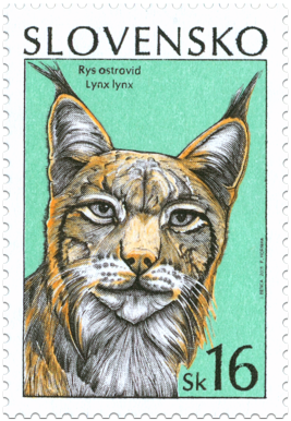 Lynx