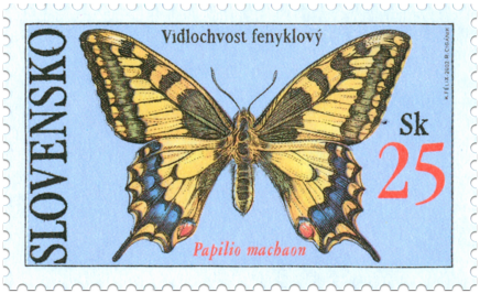 Motýle - Vidlochvost fenyklový