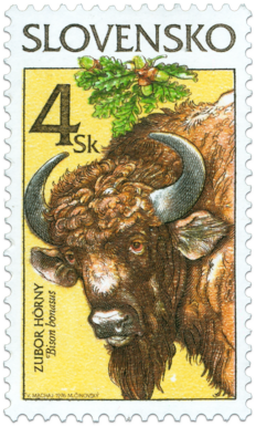 Ochrana prírody - Zubor hôrny (Bison bonasus)