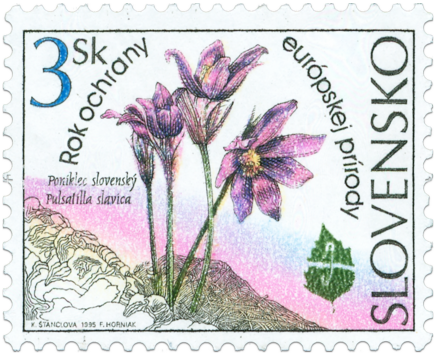 European Nature Conservation Year - Pulsatilla slavica