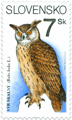 Eagle-owl