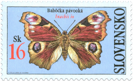 Motýle - Babôčka pávooká