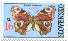 Butterflies - European Peacock