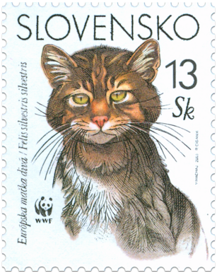 European Wild Cat (WWF)