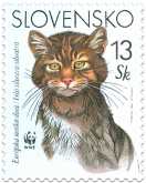 European Wild Cat (WWF)