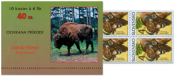 Nature Conservations - European Bison (Bison bonasus)