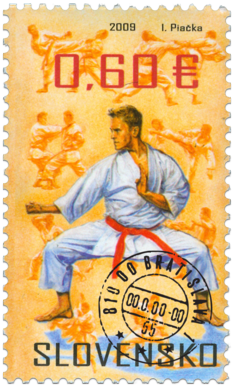 Sports: Martial Arts