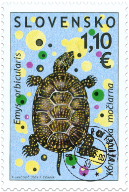 Preservation of Nature: European pond terrapin