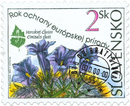 European Nature Conservation Year - Ciminalis clusii