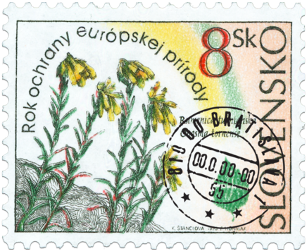 European Nature Conservation Year - Onosma tornense