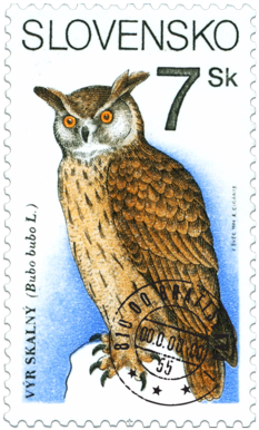 Eagle-owl