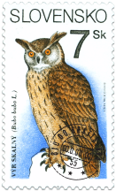 Eagle-owl