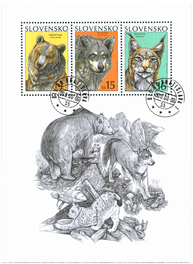 Brown Bear, Common Wolf, Lynx 