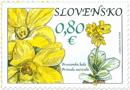 Nature Protection: Muránska Plain - Primerose (Primula Auricula)