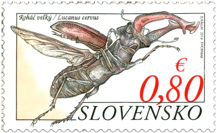 Nature Protection: Sitno National Nature Reserve –  Lucanus Cervus