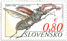 Nature Protection: Sitno National Nature Reserve –  Lucanus Cervus