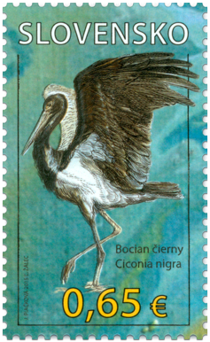 Nature Protection: Protected Landscape Area Poľana – Black Stork (Ciconianigra)