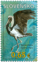 Nature Protection: Protected Landscape Area Poľana – Black Stork (Ciconianigra)