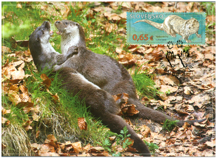 Nature Protection: Protected Landscape Area Poľana – River Otter