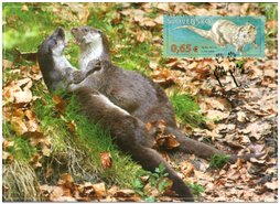 Nature Protection: Protected Landscape Area Poľana – River Otter