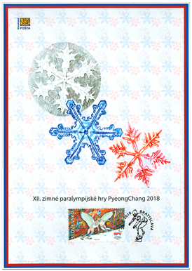 The XII Winter Paralympic Games in PyeongChang