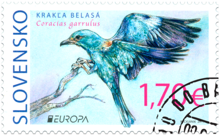 EUROPA 2019: Vzácne vtáky - krakľa belasá