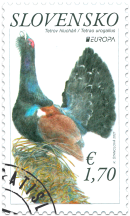 EUROPA 2021: The Western Capercaillie