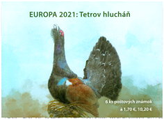 EUROPA 2021: The Western Capercaillie