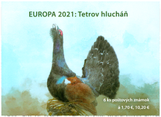 EUROPA 2021: Tetrov hlucháň