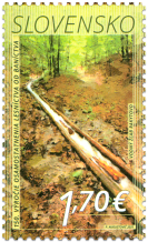 150th Anniversary of Forestry's Independence from Mining (1871) 