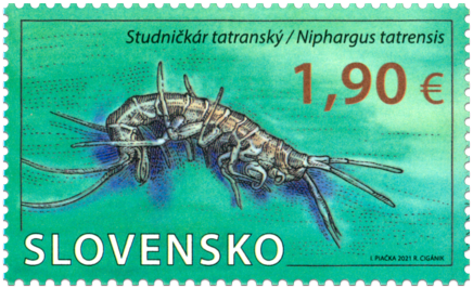 Nature Protection: The Demänovská Cave of Liberty – Niphargus tatrensis