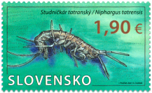 Nature Protection: The Demänovská Cave of Liberty – Niphargus tatrensis