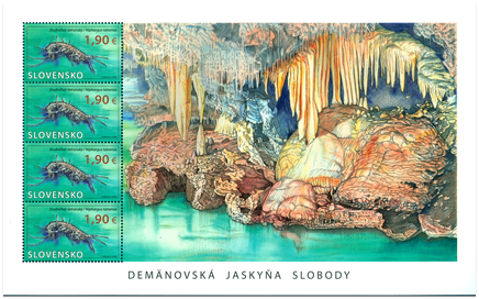 Ochrana prírody: Demänovská jaskyňa slobody - Studničkár tatranský