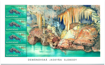 Nature Protection: The Demänovská Cave of Liberty – Niphargus tatrensis