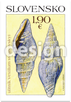 Nature Protection:  Important Fossils from Slovakia – Gastropod  Vexillum svagrovskyi