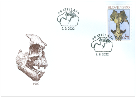 Nature Protection: Important Fossils from Slovakia – Seal Devinophoca claytoni