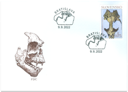 Nature Protection: Important Fossils from Slovakia – Seal Devinophoca claytoni