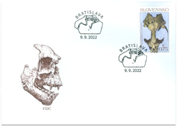 Ochrana prírody: Významné slovenské fosílie - tuleň Devinophoca claytoni