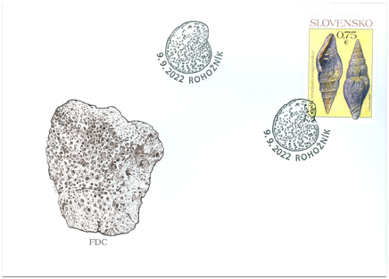 Nature Protection: Important Fossils from Slovakia – Gastropod Vexillum svagrovskyi