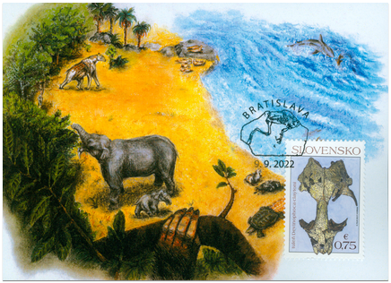 Nature Protection: Important Fossils from Slovakia – Seal Devinophoca claytoni