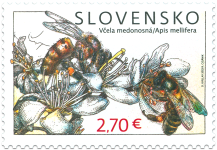 Ochrana prírody: Včely
