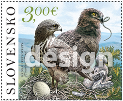 Nature Protection: The Vihorlat Mountains – The Short-Toed Eagle (Circaetus gallicus)