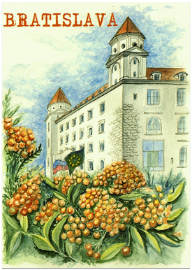 Postcard - Bratislava drawed / The Castle