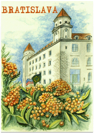 Postcard - Bratislava drawed / The Castle