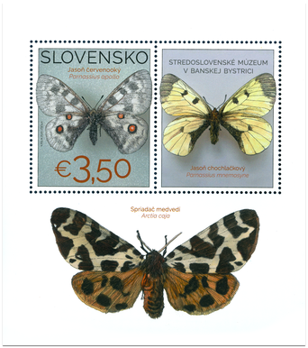 Nature Protection: The Collection of Butterflies in the Museum of Central Slovakia, Banská Bystrica